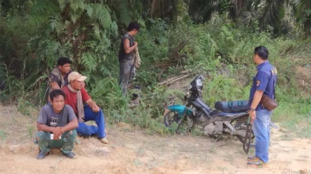 Diduga Terlibat Pembalakan Liar di Hutan Konservasi Chevron Minas, Tiga Warga Kampar Diamankan