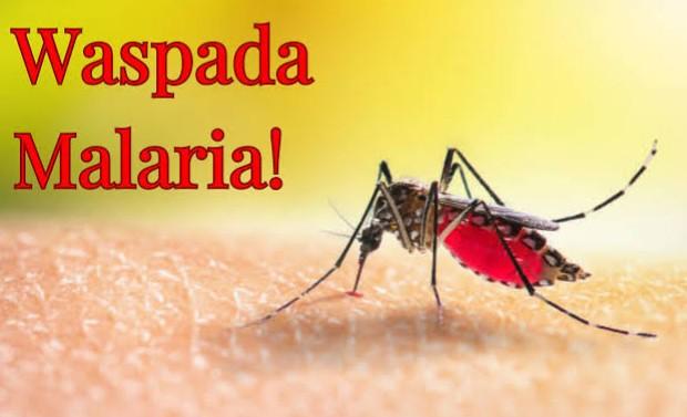 <b>Riau Masuk dalam Kategori Daerah Darurat Malaria</b>