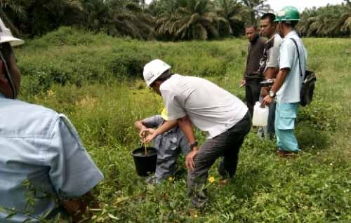 BLH Pelalawan Ambil Sampel Air Sungai Ukui yang Diduga Tercemar Limbah PT Gandaerah Hendana