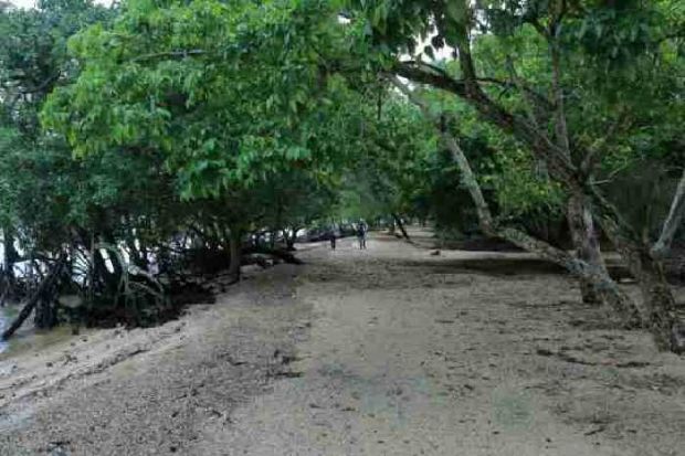 Kabar Gembira... Tanpa Perlu Bermalam di Mandah, Rute Speedboat Tembilahan-Pantai Solop Segera Dibuka