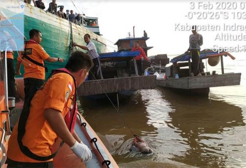 Bocah 6 Tahun yang Tenggelam bersama Pompong Saat Ditambat di Tembilahan Ditemukan