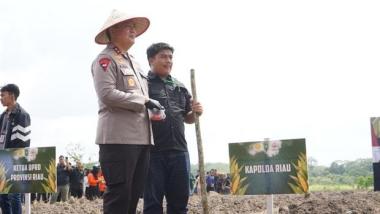 bkapolda-irjen-iqbal-optimis-penanaman-jagung-di-riau-bisa-lebihi-targetb