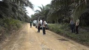 bninja-sawit-beraksi-brutal-di-kebun-pt-sls-pelalawan-sekuriti-perusahaan-ditembakb