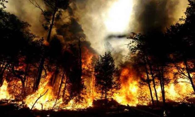 45 Titik Panas di Riau, Dua Kabupaten Sudah Siaga Darurat Kebakaran
