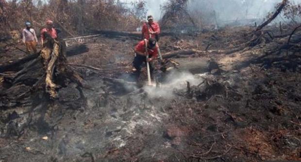 Cerita Petugas Pemadam Kebakaran di Pulau Rupat yang Nyaris Mati oleh Kobaran Api dan Misteri Ular Api