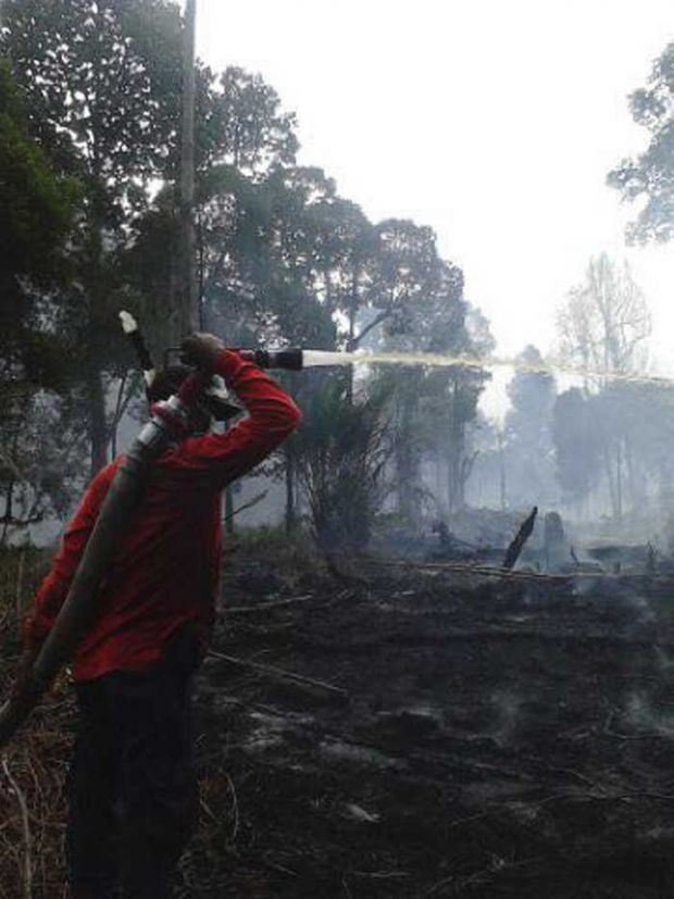 Polisi Panggil ”Ate”, Pemilik Lahan yang Terbakar di Tebingtinggi Timur Kepulauan Meranti