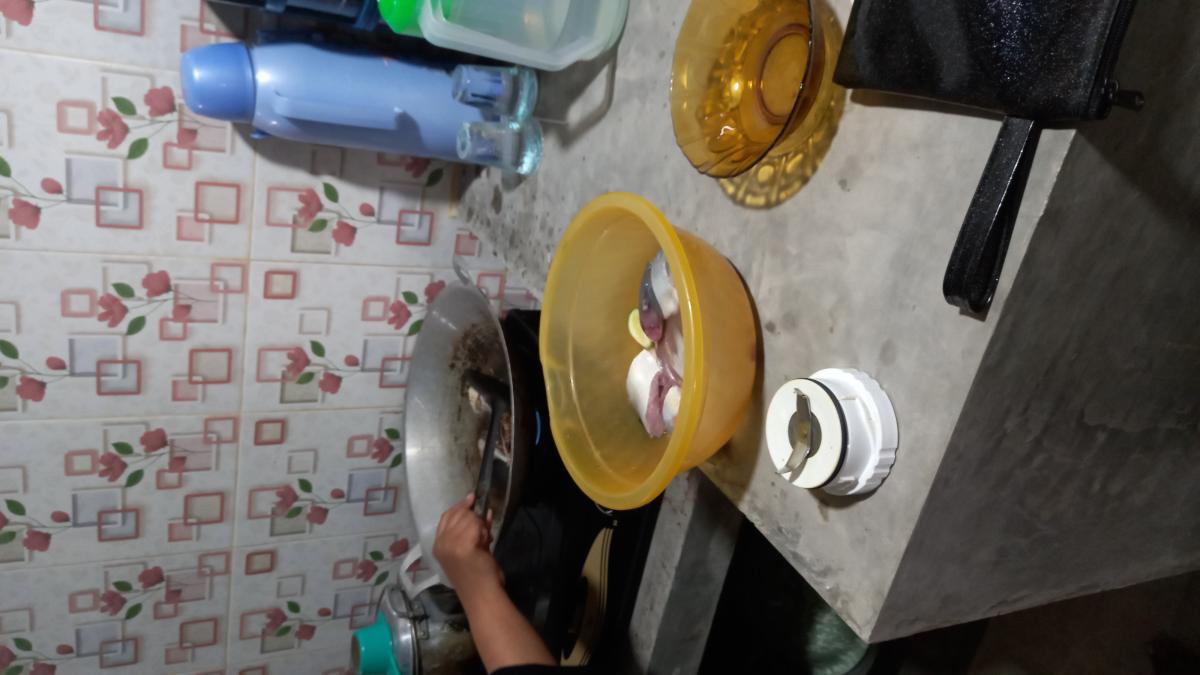 Cinta Monyet: Secuil Kisah di Balik Kedatangan Jokowi