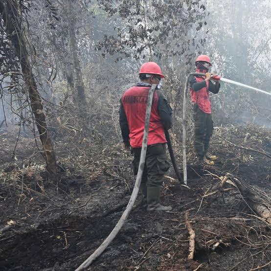 Kabupaten Pelalawan Masuk Daftar 3 Daerah Percontohan Pencegahan Kebakaran Hutan Berbasis Klaster