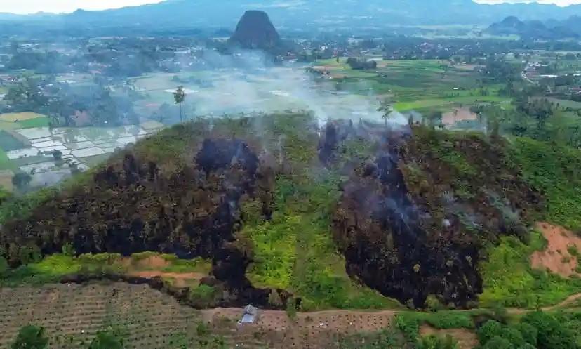 <b>29 Korporasi Terduga Perusak Lingkungan dan Terindikasi Korupsi Dilaporkan ke Kejaksaan Agung</b>