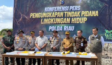 bbupati-rokan-hilir-serukan-setop-perambahan-hutan-mangroveb