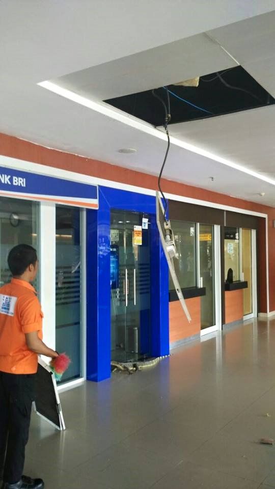 Mengerikan, Biawak Jatuh dari Plafon Bandara SSK II Pekanbaru saat Angkasa Pura Rayakan Hari Pelanggan