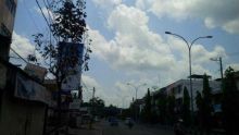 awas-bunuh-pohon-pelindung-jalan-di-kota-pekanbaru-bisa-didenda-rp50-juta