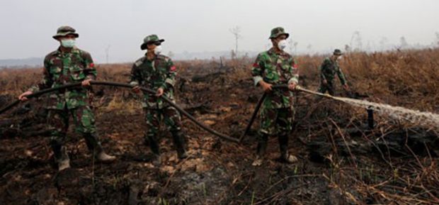 Duh Teganya... Mesin Pemadam Kebakaran Hutan Riau Dicuri, Proses Pemadaman Jadi Terganggu