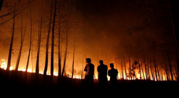 68 Pelaku Pembakar Hutan Riau Ditahan Polda, 35 Berkas Tersangka Sudah P21