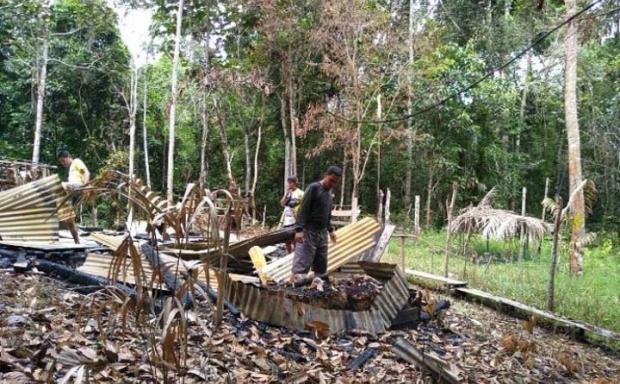 Pondok Jaga Kelompok Tani Hutan Diduga Dibakar Pembalak Liar di Kuantan Singingi