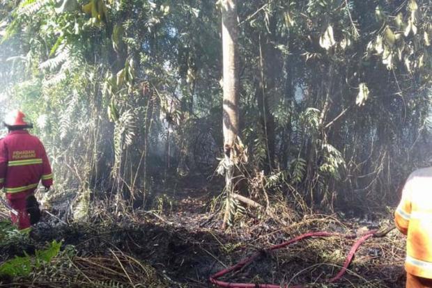 41 Hektar Lahan Terbakar di Rokan Hilir dan Dumai dalam 4 Hari Terakhir