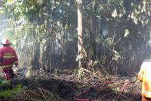 41-hektar-lahan-terbakar-di-rokan-hilir-dan-dumai-dalam-4-hari-terakhir