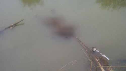 Kakek 80 Tahun Ditemukan Tewas Mengapung di Kanal Desa Danau Pulai Indah Inhil