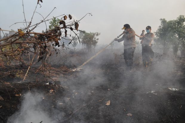 Hanya Selang 9 Hari, Lahan PT DSI di Kotogasib Siak Kembali Terbakar