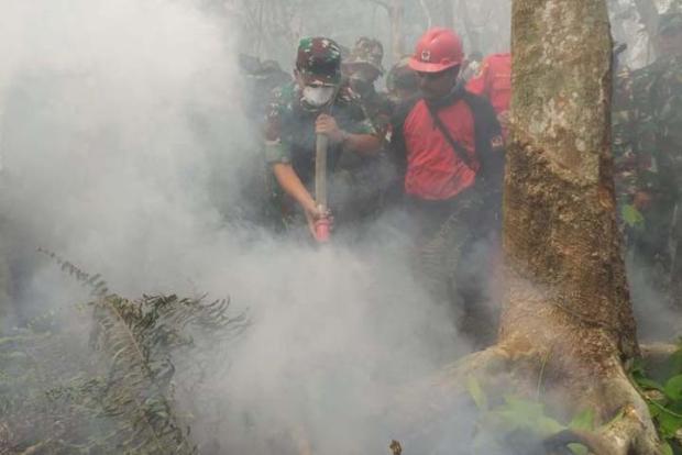 Makin Membara, Luas Lahan Terbakar di Riau Capai 1.409 Hektar