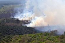 kebakaran-hutan-dan-lahan-makin-meluas-di-riau-pemprov-minta-bantuan-bnpb