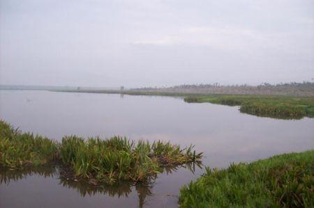 Melongok Danau Napangga, Bekas Peristirahatan Raja yang Asri di Riau