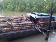 kapal-pengangkut-ribuan-kayu-bakau-selundupan-yang-hendak-dibawa-ke-malaysia-diamankan-polair-polda
