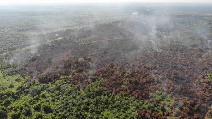 <b>Dua Warga Pelalawan yang Diduga Membakar Hutan Taman Nasional Tesso Nilo Ditamankan Polisi</b>