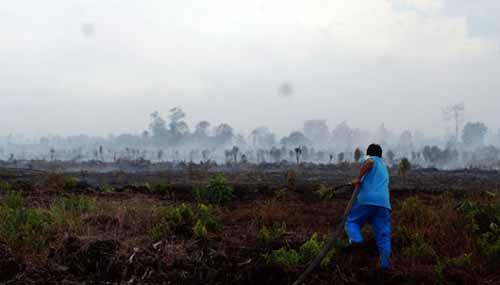 Cegah Kebakaran Hutan dan Lahan, Satgas di Riau Siapkan Modifikasi Cuaca Hujan Buatan