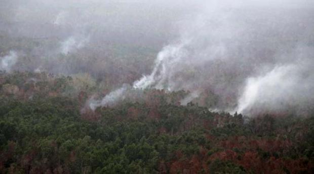Jumlah Titik Api di Riau Mengkhawatirkan Jelang Asian Games, Terdeteksi Ada di 700 Lokasi