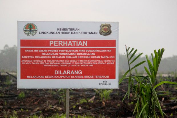 Komisi III DPR Temukan Kejanggalan SP3 terhadap 15 Perusahaan Terduga Pembakar Hutan Riau
