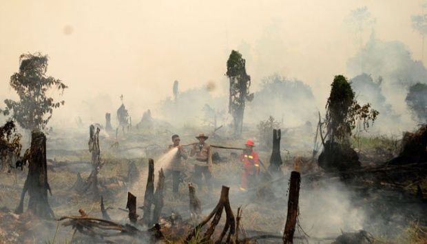 Ketua Komisi Hukum DPR RI Temukan Keganjilan dalam Peristiwa Kebakaran Hutan di Riau