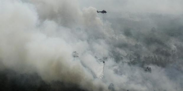 Kapolri Diminta Bentuk Tim Sikapi Penghentian Kasus Kebakaran Hutan di Riau