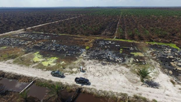Inilah Foto Mengerikan Kebakaran Hutan dari Drone yang Berhasil Diselamatkan, Sisanya Dirampas Penyandera