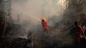 Masuki Musim Kemarau, Kebakaran Hutan dan Lahan Membayangi Riau