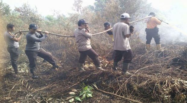 Kebakaran Lahan di Dumai, Puluhan Polisi dan Tentara Berjibaku Padamkan Api