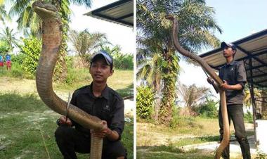 Kop erkaklar bilan onlayn porno video