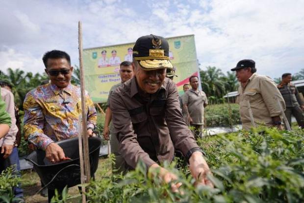 Gubri Sebut Sistem Pertanian Terpadu Desa Rantau Sakti Rohul Layak Ditiru, Ini Alasannya!