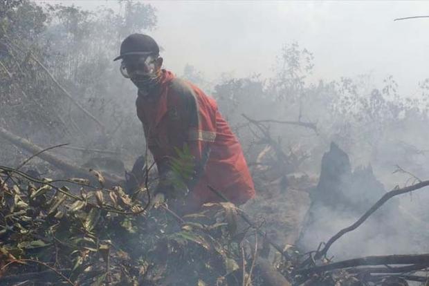 Kabut Asap Makin ”Menggila” di Riau, Warga Diimbau Salat Minta Hujan