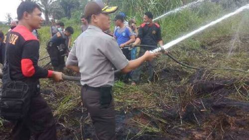 Lahan Terbakar Milik KUD Bina Jaya Langgam Lebih Luas dari Kebakaran di Areal 2 Perusahaan, Kapolres Pelalawan: Kita Serius Tangani Kasus Ini