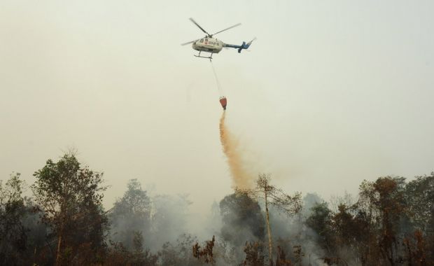 Dibom Air Ratusan Kali, Kebakaran Hutan di Rohil Belum Juga Padam