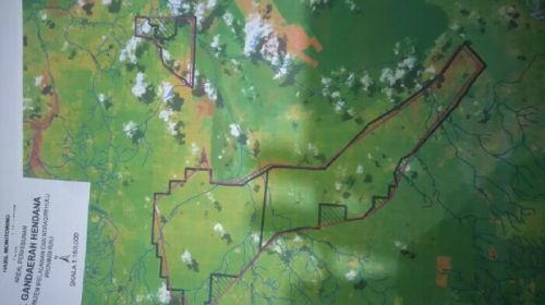Ini Peta Kawasan Perkebunan PT Gandaerah Hendana Diduga Garap Lahan di Luar HGU dan Izin Pelepasan