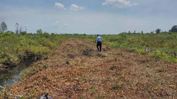 Kata Gubernur Riau, 53 Lembaga Kementerian Akan Bangun Kantor di Rimbopanjang Kampar