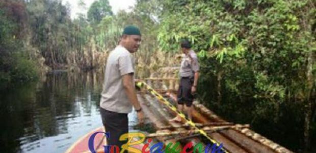 Ratusan Tual Kayu Ilog Diamankan Polisi di Anak Sungai Kampar Salempaya Pelalawan