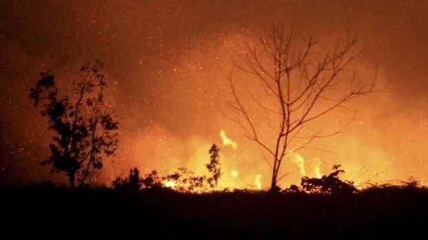 Pemprov Riau Diminta Waspada Kebakaran Hutan dan Lahan Mulai Bulan Ini