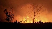 pemprov-riau-diminta-waspada-kebakaran-hutan-dan-lahan-mulai-bulan-ini