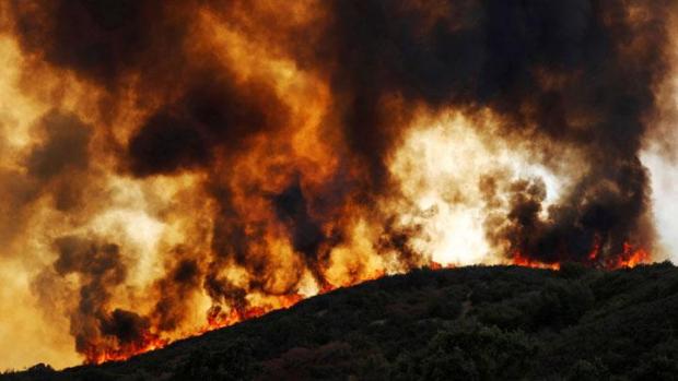 Hasil Investigasi Walhi: Ada Kebakaran Hutan Riau di Lahan Konsesi 9 Perusahaan