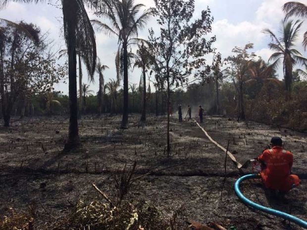 Lahan PT SRL di Kepulauan Meranti Masih Terbakar