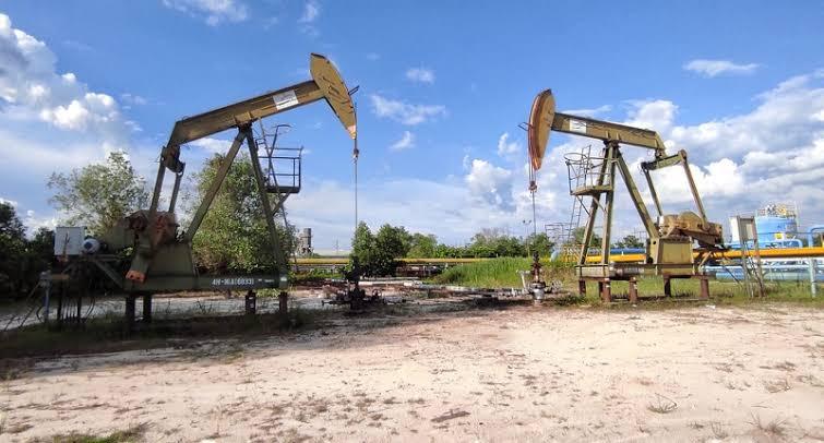 Tahun 2024 Ini, SKK Migas Targetkan Investasi Hulu Migas di Riau Mencapai Rp69 Triliun