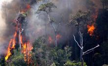 kebakaran-hanguskan-ribuan-hektar-hutan-seindonesia-riau-termasuk-dominan